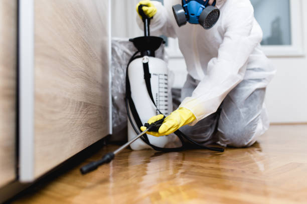 Best Pest Removal Services  in Woodsboro, TX