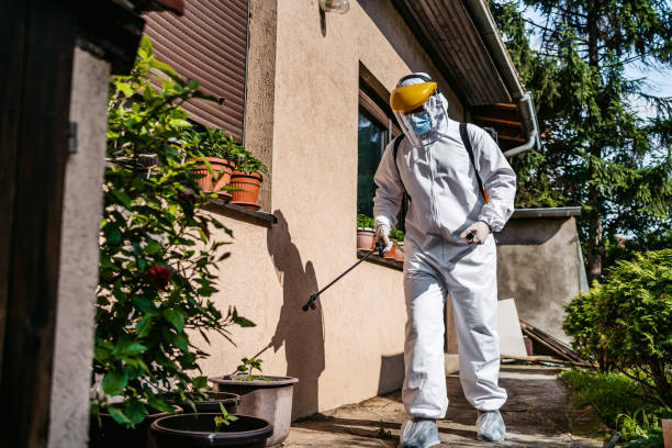 Best Best Pest Control Companies  in Woodsboro, TX