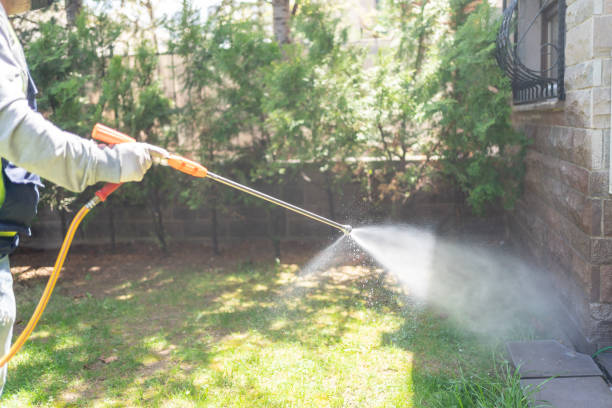 Bird Control in Woodsboro, TX