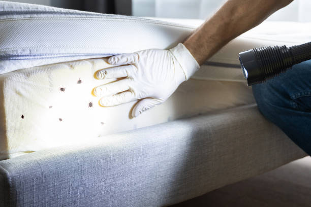 Best Affordable Pest Control Services  in Woodsboro, TX