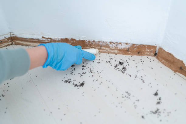Woodsboro, TX Pest Control Company