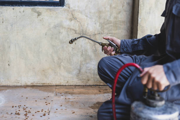 Best Pest Prevention Services  in Woodsboro, TX